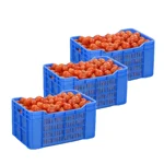 Seaplast Injection Molded Plastic Crates, 40 Liters